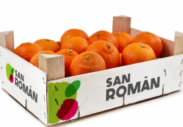 Packaging Frutas y Verduras San Román