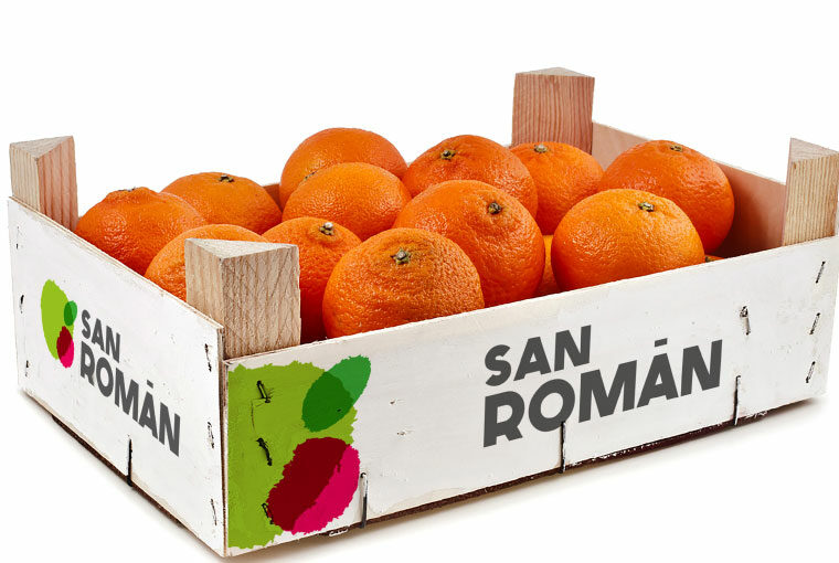 Packaging Frutas y Verduras San Román