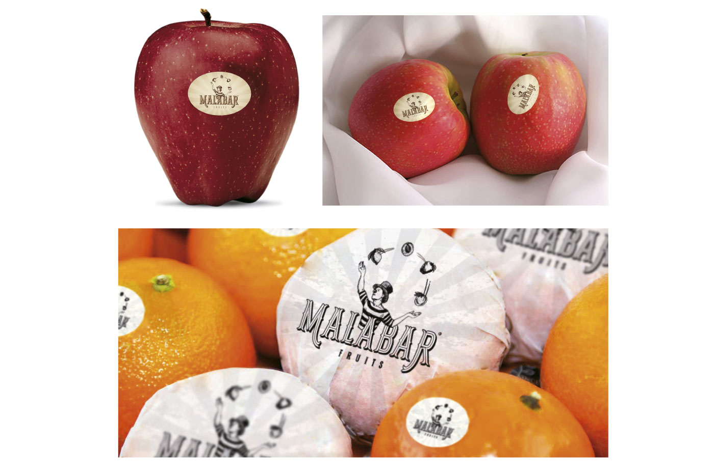 Malabar fruits design packaging original