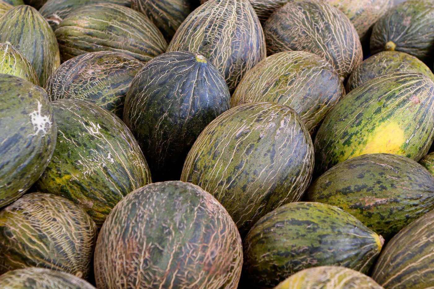 Cinco Casas Packaging Melones